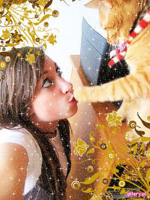 ♥ - 0 Cat 0