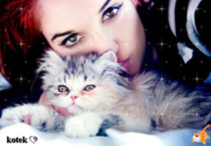 ♥xStarMagazineX own - 0 Cat 0