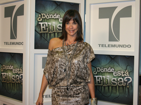 alfombra032___484x363 - Donde esta Elisa