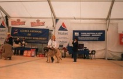 Ozana de Mindilica-Cluj 2005 - Expozitii si palmarese