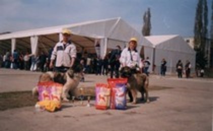 Ursu si Ozana de Mindilica-cluj 2005 - Expozitii si palmarese