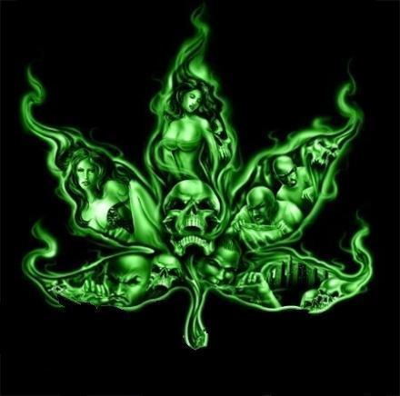 1224024985172_f[1] - imagini cu marijuana