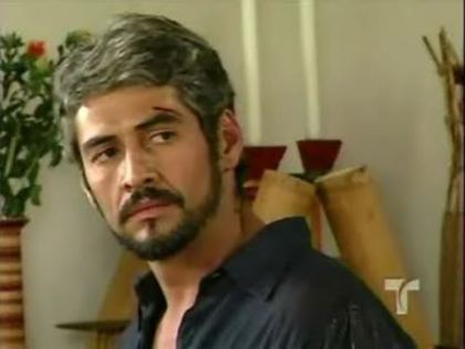 ml2bycarolaa1930001ee2