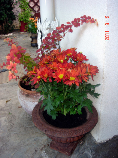 DSC01622 - Vara 2011