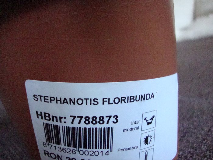 DSC09494; CUMPARATA 10/09/2011
