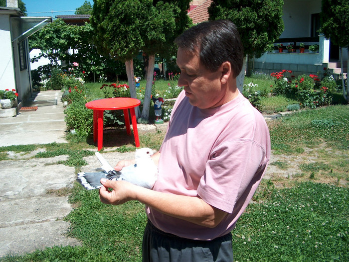 Bluetu lui Titi STANCIU