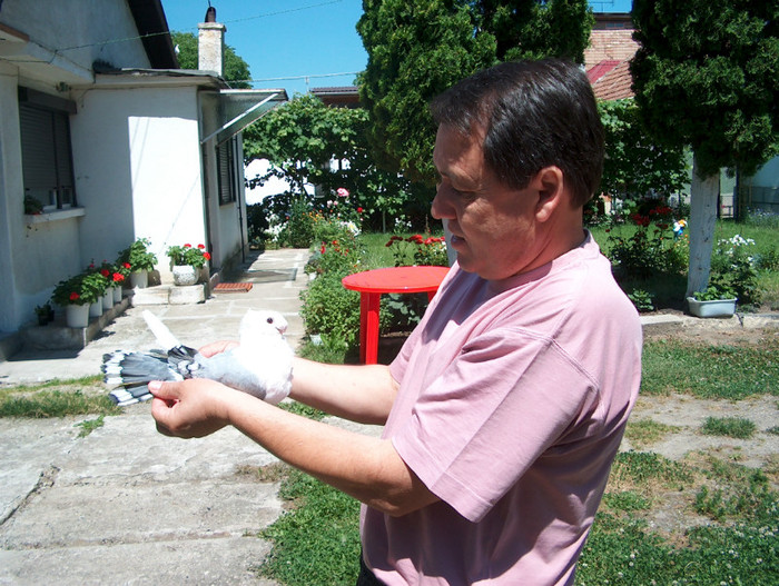 Bluetu lui Titi STANCIU