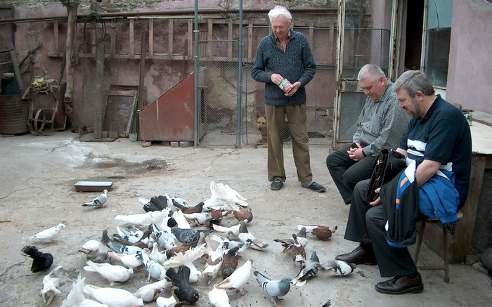 In curte la nea' Ivo EISELE