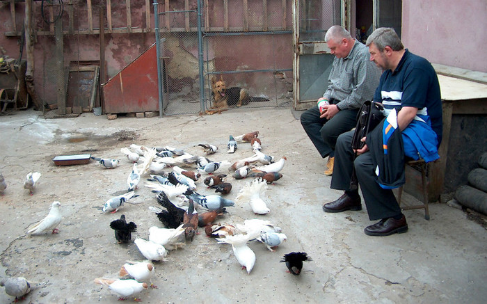 In curte la nea' Ivo EISELE