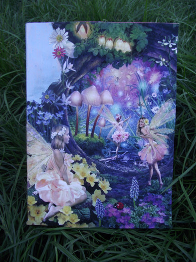 agenda cu acelas decor; fata
