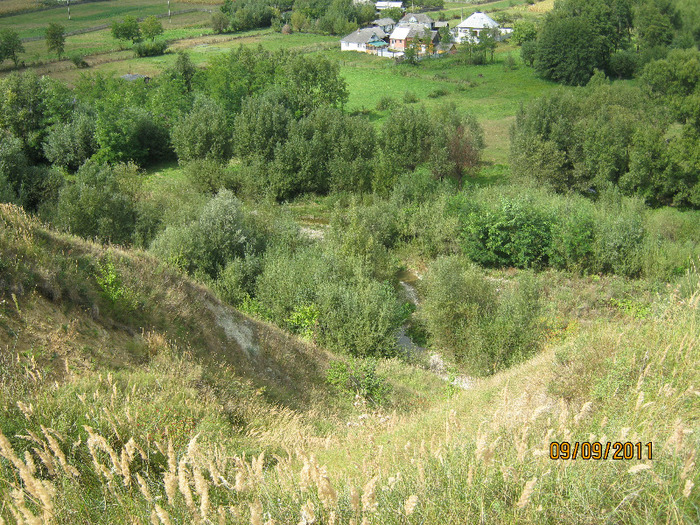 ocea la clin 036