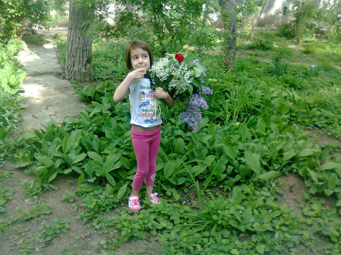 FETITA MEA,IN SPATELE BLOCULUI,AM CULES-LACRAMIOARE,,LALELE,,LILIAC