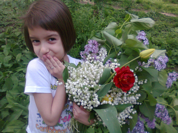 AM CULES-LACRAMIOARE,LILIAC MOV,LALELE