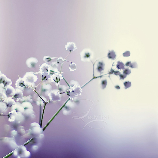 3a978d0f161bfd177215ae504524319a