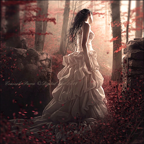 118199d2b88c009d2a3e7a602a06ce62-d48ifp5 - Poze artistice