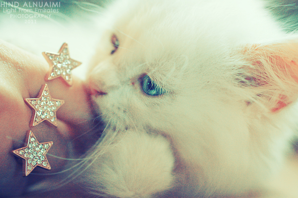 affection_____by_light_from_emirates-d48uhb6