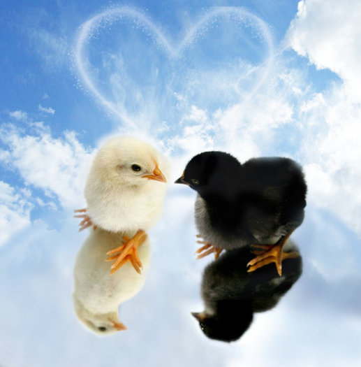 All_You_Need_Is_Love_by_ebrulii