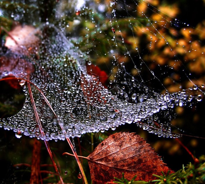 autumn____by_karil-d48umpn