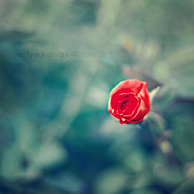 deep_inside_me______by_addy_ack-d48x9vn - Poze artistice