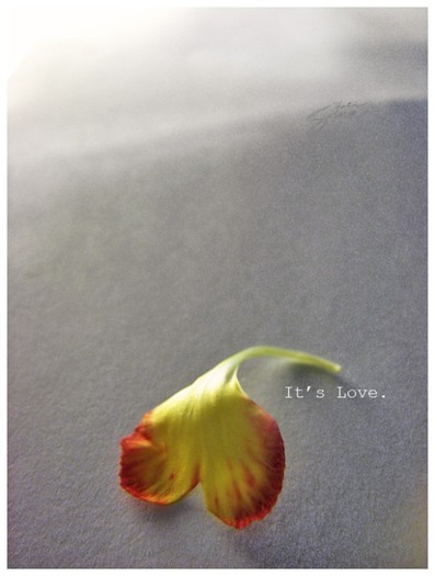 It__s_Love_by_DaliSina It__s_Love_by_DaliSina