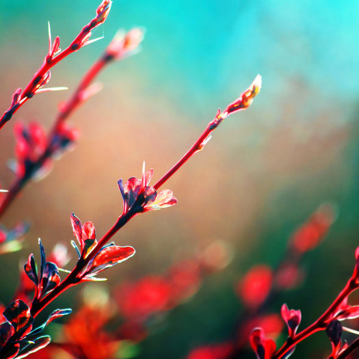 supernatural_by_incolor16-d48odhe - Poze artistice