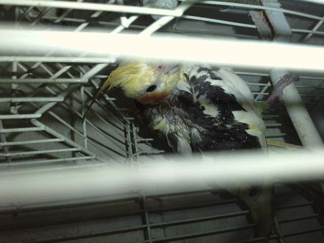 P310711_14.280001