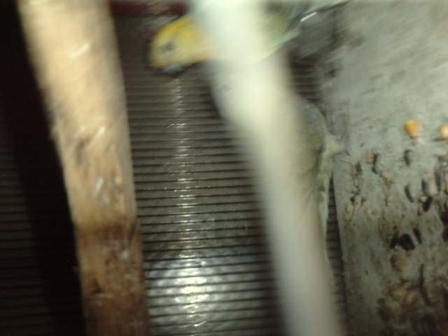P310711_14.280004