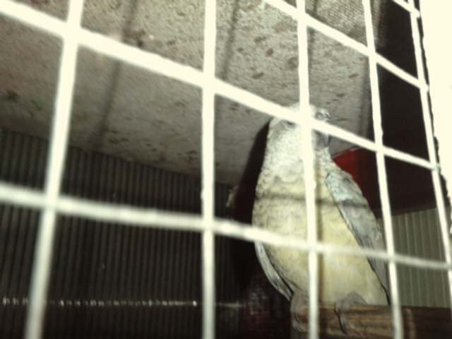 P310711_14.310002