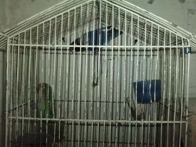 P310711_14.330001