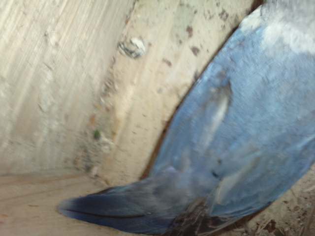 P250811_07.370003
