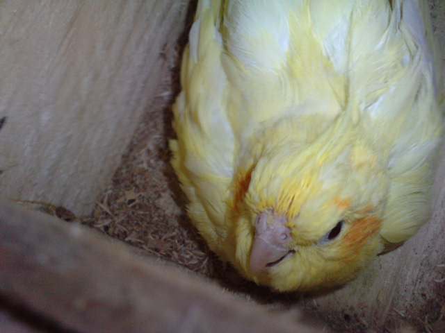 P250811_07.380001