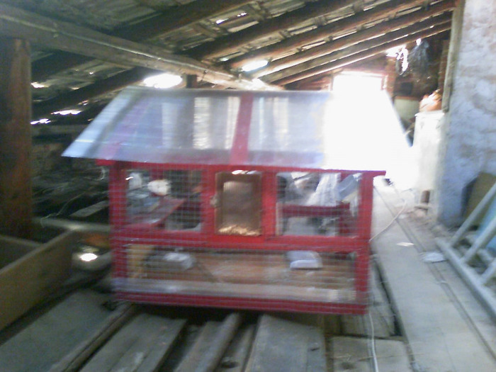 20110125_162434