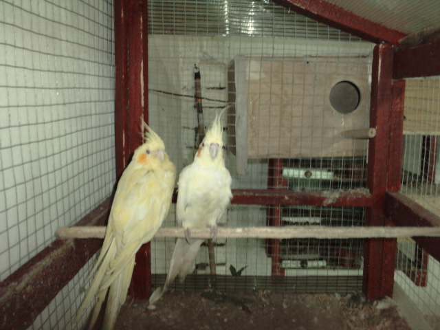 P310711_14.250001