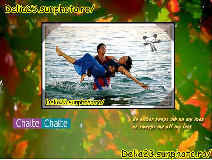 shahrukh_khan_chalte_chalte_06