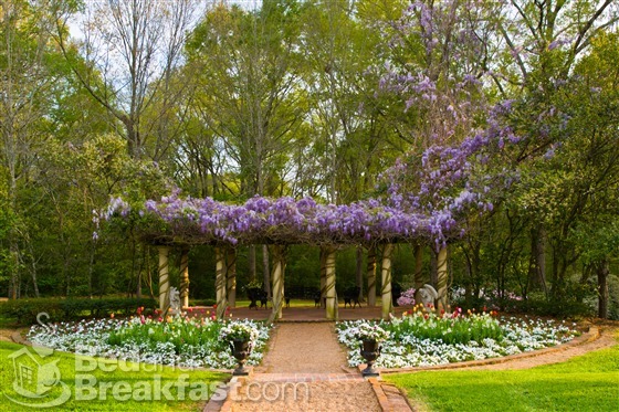 natchez-inns-monmouth-plantation - WYSTERIA_PERGOLA