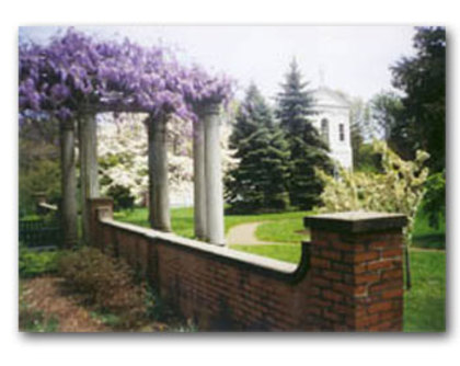 Pergola-Wisteria02 - WYSTERIA_PERGOLA