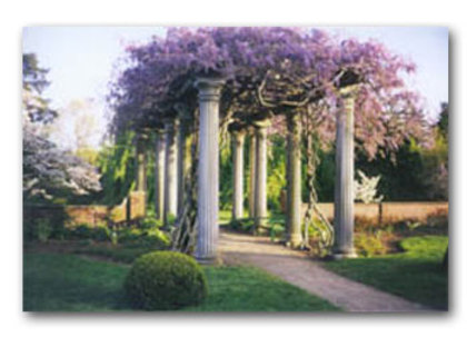 Pergola-Wisteria03 - WYSTERIA_PERGOLA