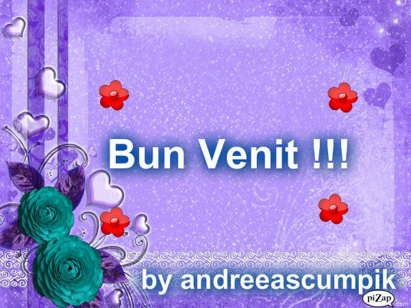 image - Bun Venit