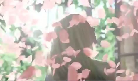 Avril Lavigne - Wild Rose 0234