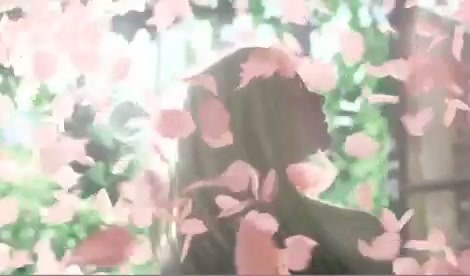 Avril Lavigne - Wild Rose 0235