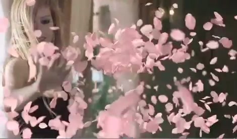 Avril Lavigne - Wild Rose 0291