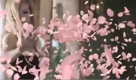 Avril Lavigne - Wild Rose 0293