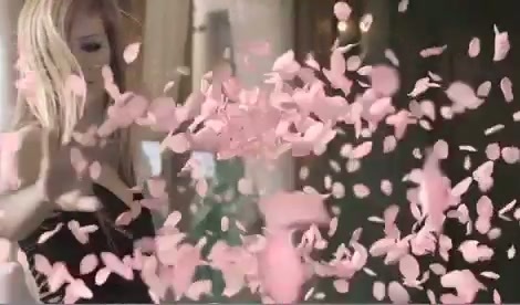 Avril Lavigne - Wild Rose 0296