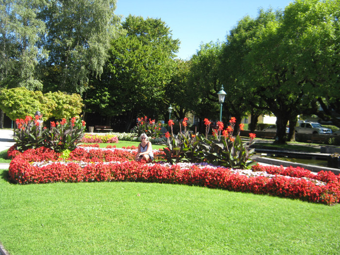 parc foarte frumos cu flori