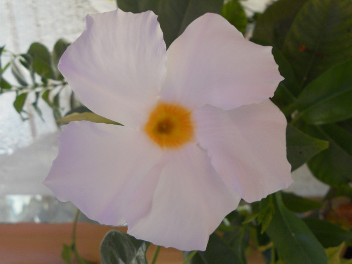 DSCN1422