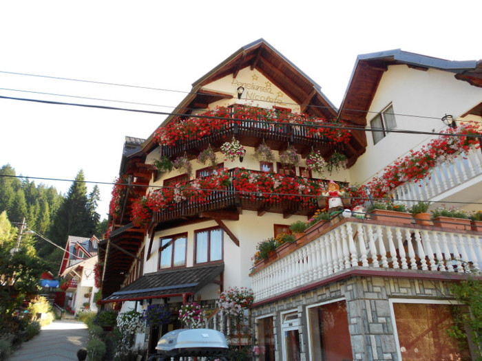 o pensiune f.f.frumoasà