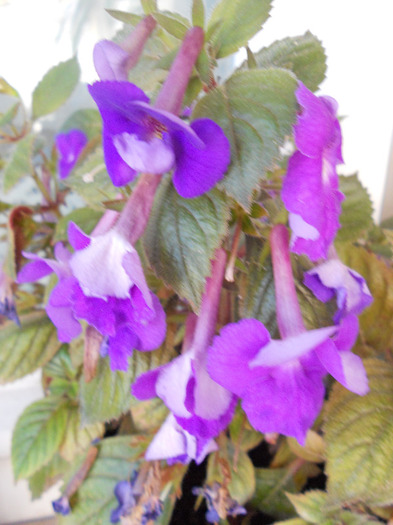 DSCN1438