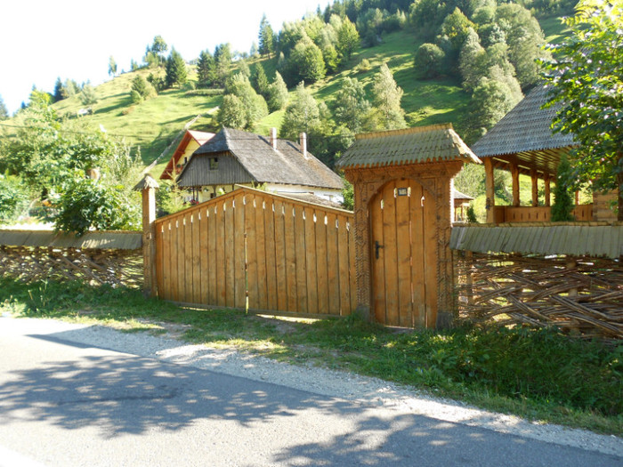poartà din lemn scluptatà - BRAN  SI MOECIU