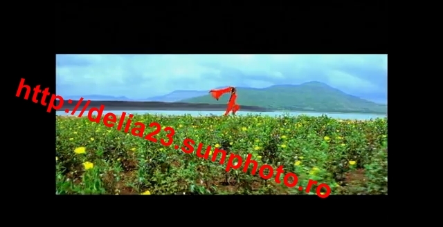 cats19 - Dulha mil gaya