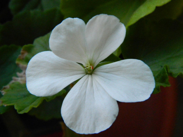082 - 09_SEPTEMBRIE